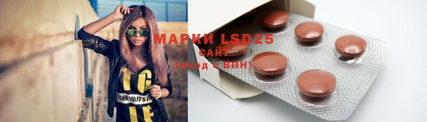 спиды Богданович