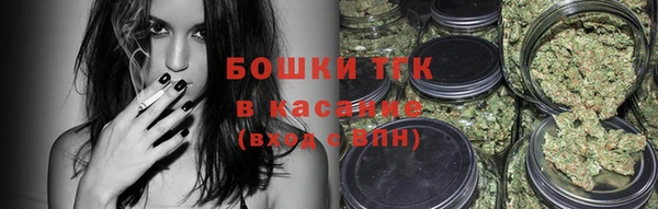 тгк Бронницы