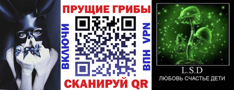 сайты даркнета официальный сайт  Верхняя Тура  Галлюциногенные грибы мицелий 