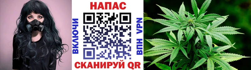 Конопля конопля  Верхняя Тура 